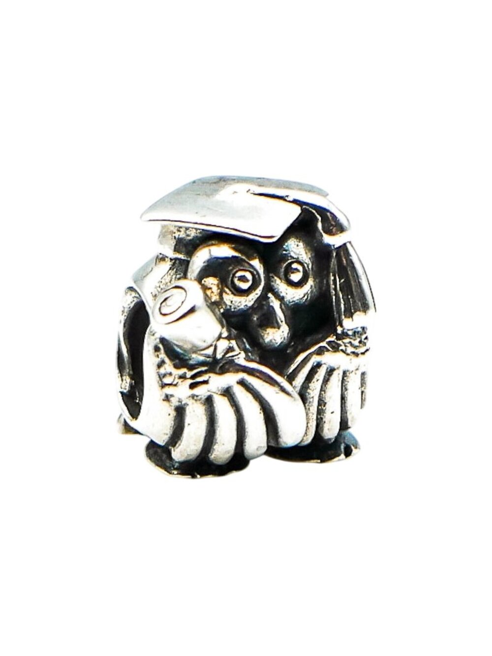 Chamilia Graduation Owl Sterling Silver Charm Graduate Teacher Diploma Gift